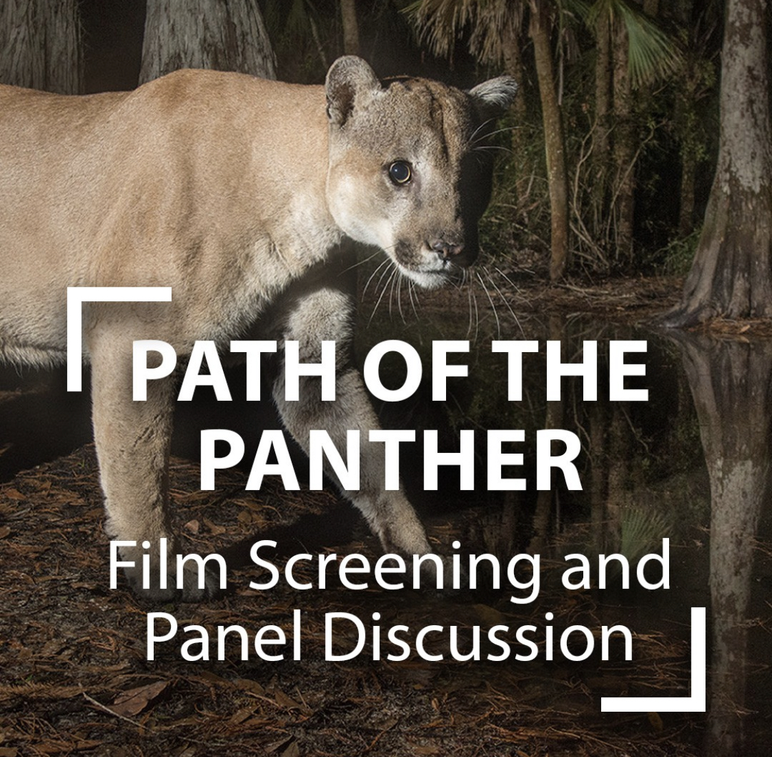 Path of Panther flyer
